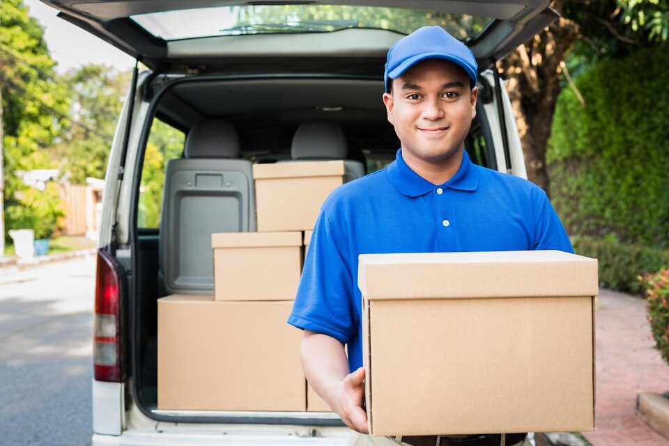 E-cargo: Domestic Courier services